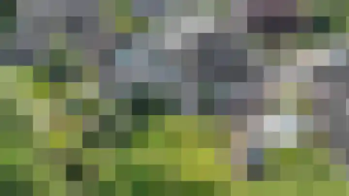 De Etstoel 9 Sleen thumbnail 59