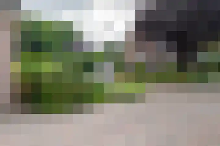 De Etstoel 9 Sleen thumbnail 6