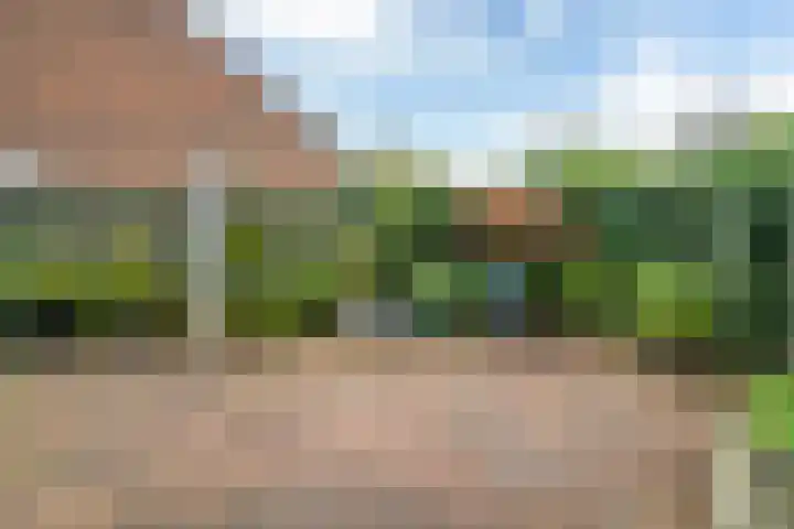 De Excelsior 113 Drachten thumbnail 22