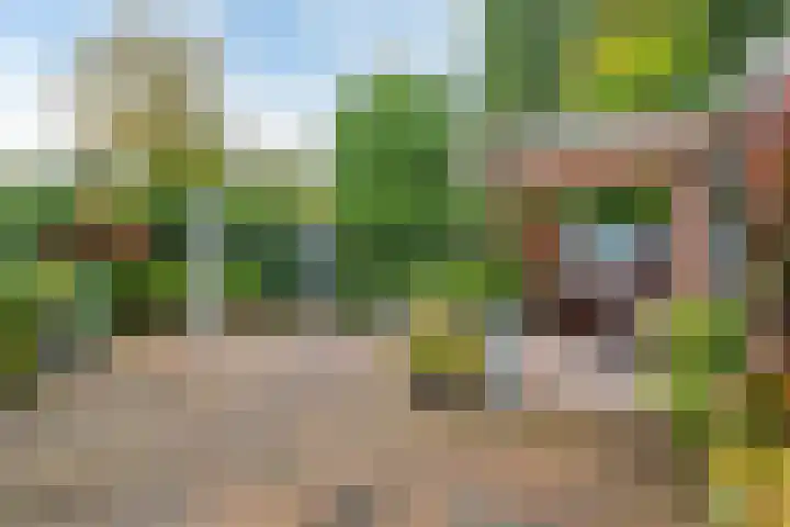 De Excelsior 113 Drachten thumbnail 5