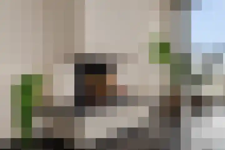 De Faam 22 Zaandam thumbnail 17