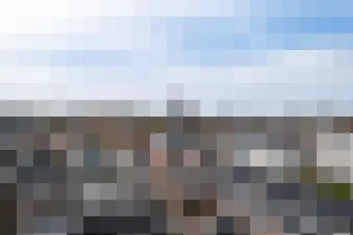 De Faam 22 Zaandam thumbnail 37