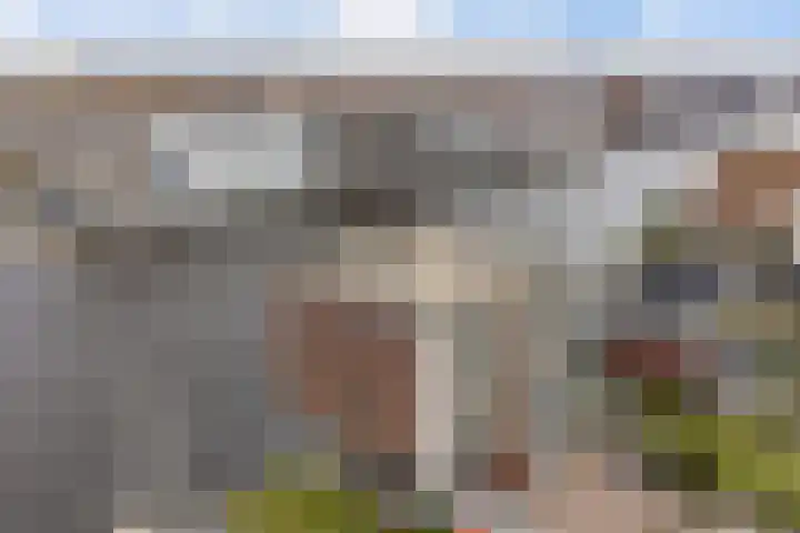 De Faam 22 Zaandam thumbnail 7