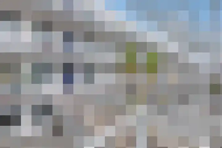 De Factorij 35 Zaandam thumbnail 5