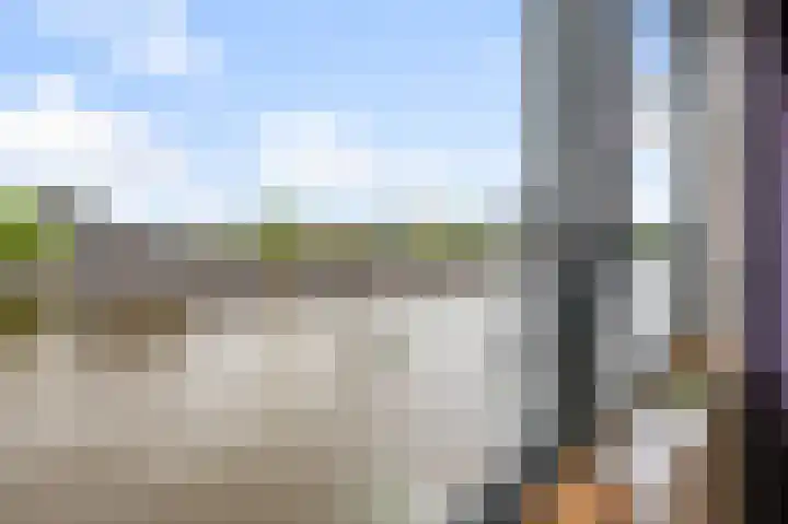 De Factorij 41 Zaandam thumbnail 12