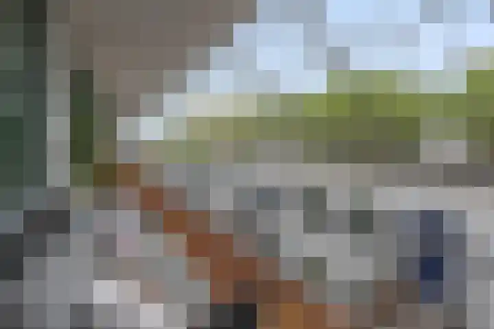 De Factorij 41 Zaandam thumbnail 30