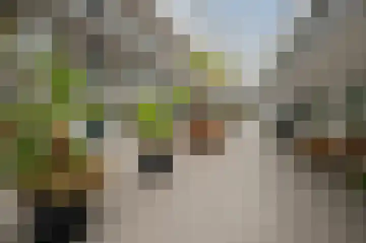 De Factorij 41 Zaandam thumbnail 34