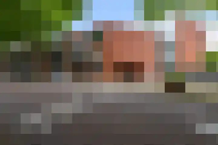 De Factorij 41 Zaandam thumbnail 40