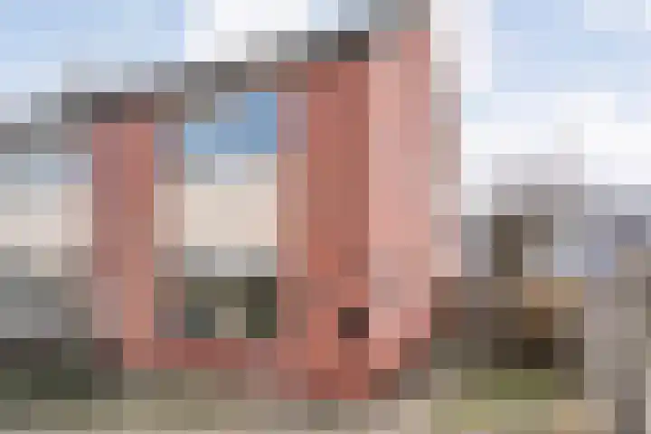 De Fazant 17 in Dedemsvaart