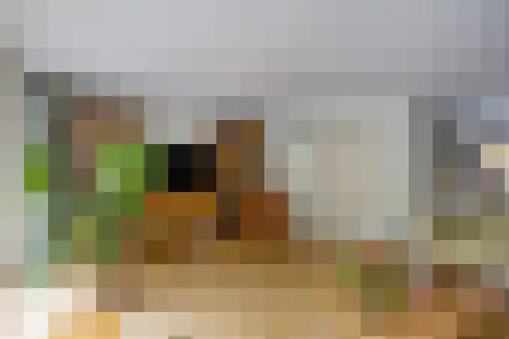 De Fazant 7 Dronten thumbnail 15