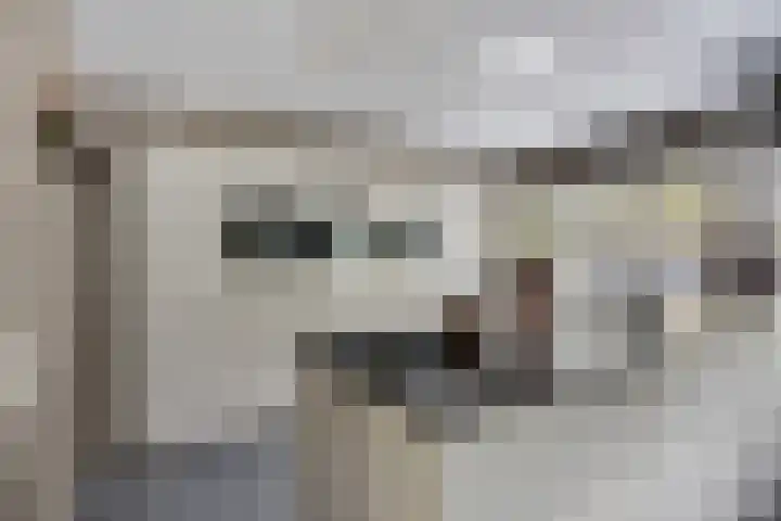 De Fazant 7 Dronten foto 3