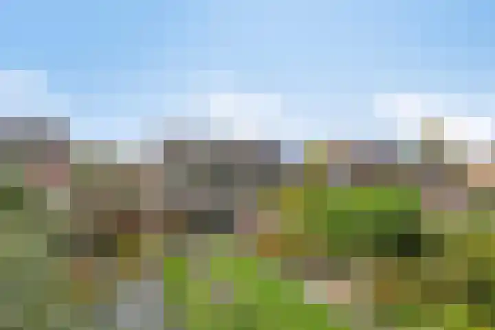 De Fazant 7 Dronten thumbnail 39