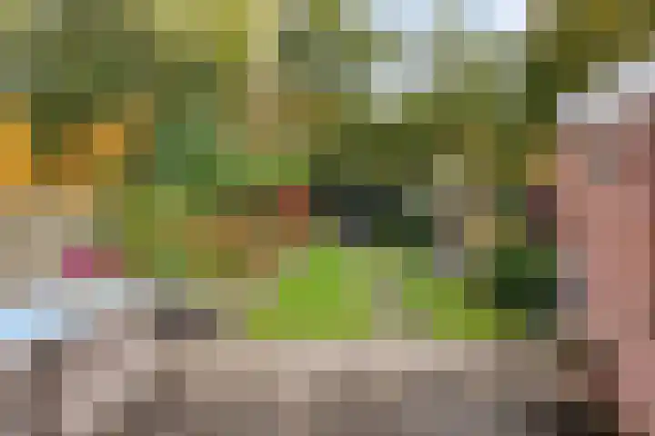 De Fazant 7 Dronten thumbnail 4