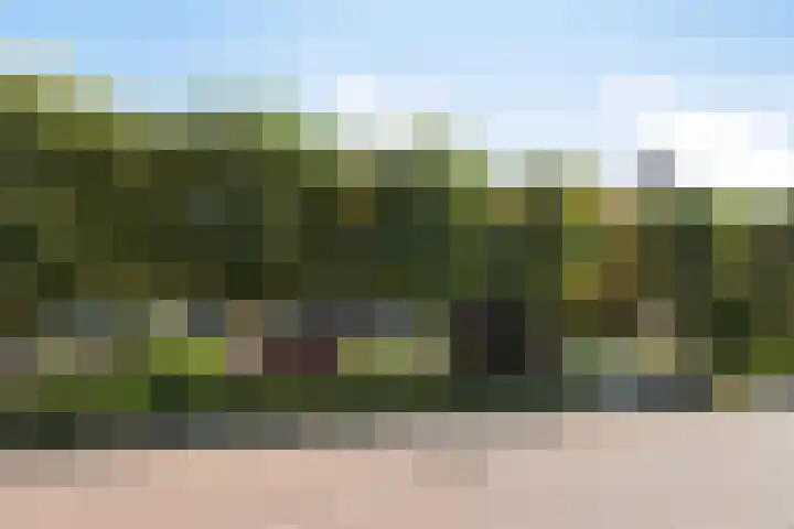 De Fazant 7 Dronten thumbnail 44