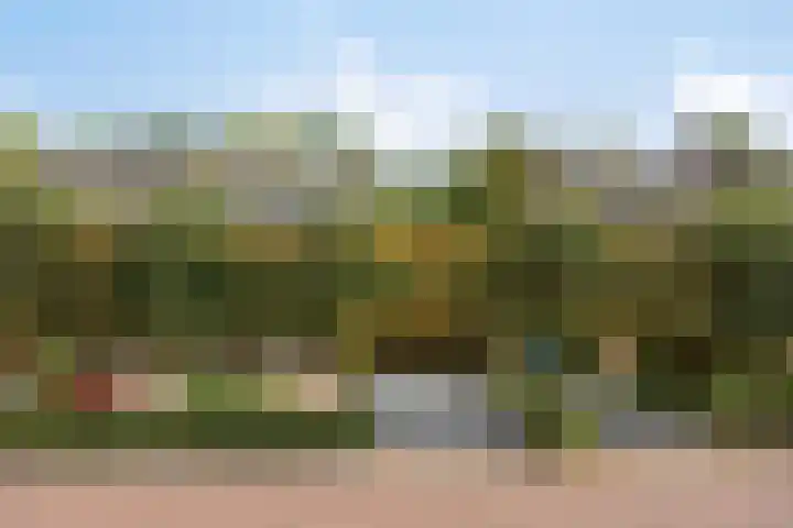 De Fazant 7 Dronten thumbnail 46