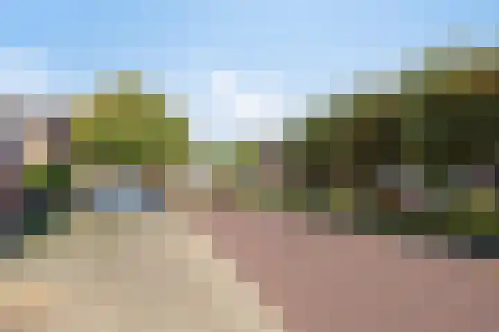 De Fazant 7 Dronten thumbnail 48