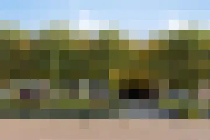 De Fazant 7 Dronten thumbnail 5
