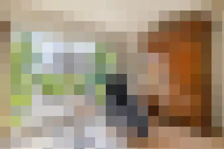 De Feart 48 Ureterp thumbnail 12