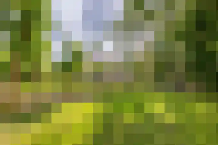 De Feart 48 Ureterp thumbnail 46