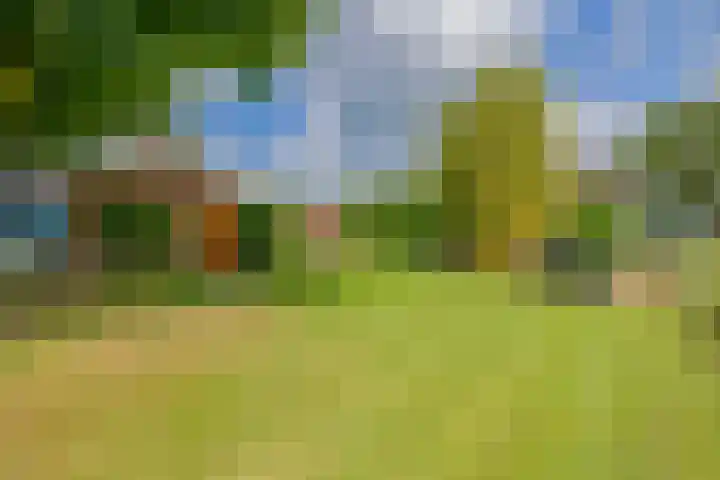 De Feart 48 Ureterp thumbnail 51
