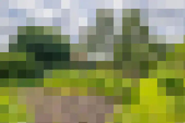 De Feart 48 Ureterp thumbnail 55