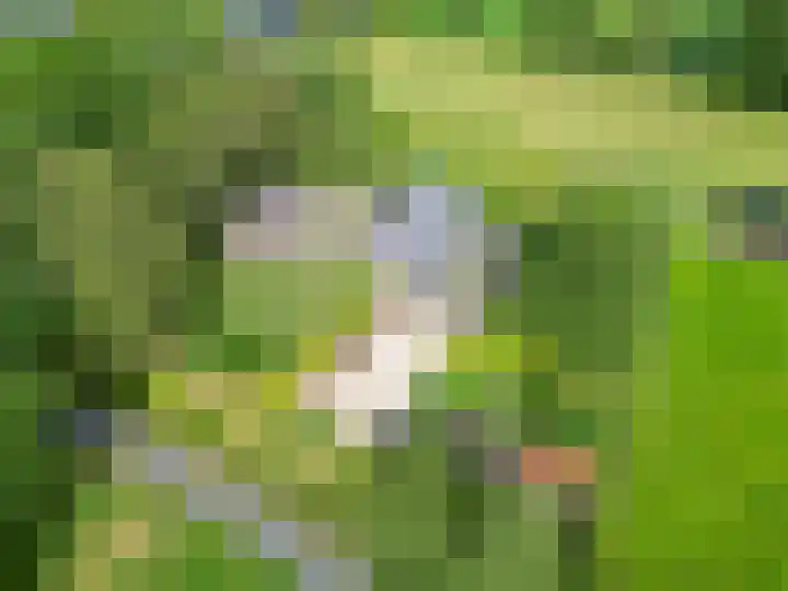 De Feart 48 Ureterp thumbnail 62