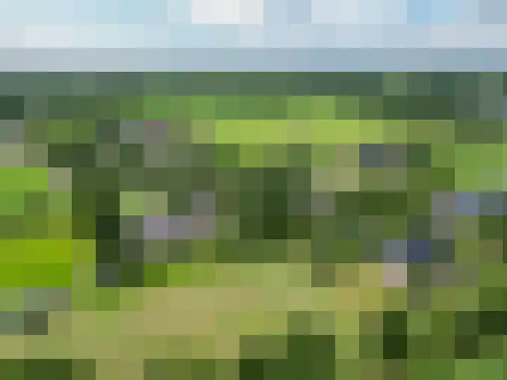De Feart 48 Ureterp thumbnail 64