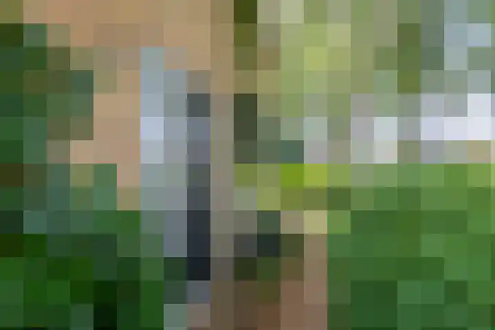 De Feart 48 Ureterp thumbnail 8