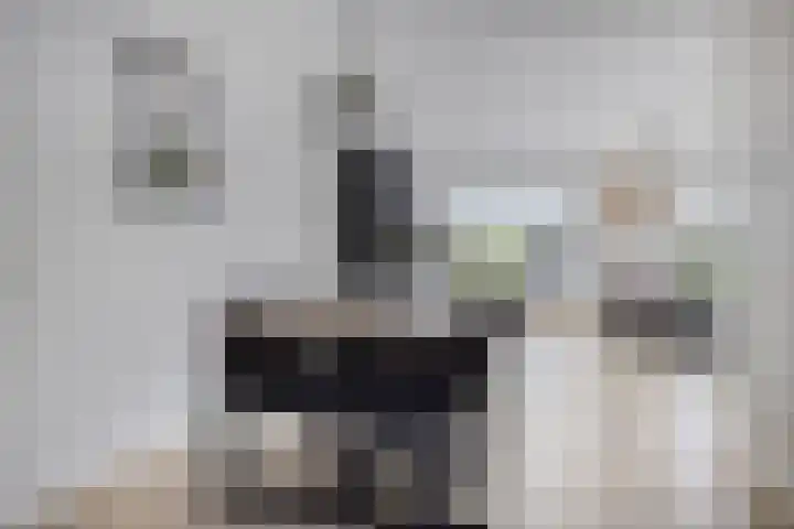De Finne 13 Sumar thumbnail 11