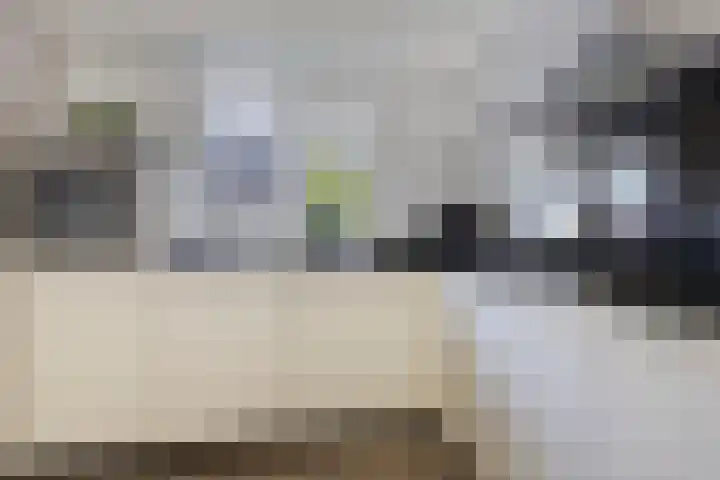 De Finne 13 Sumar thumbnail 12