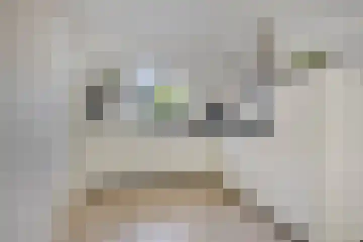 De Finne 13 Sumar thumbnail 13