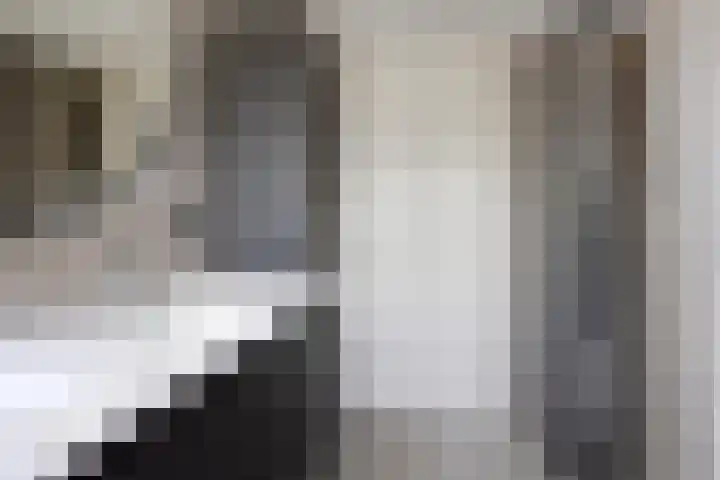 De Finne 13 Sumar thumbnail 20