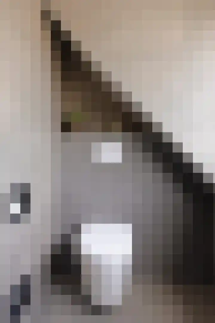 De Finne 13 Sumar thumbnail 23