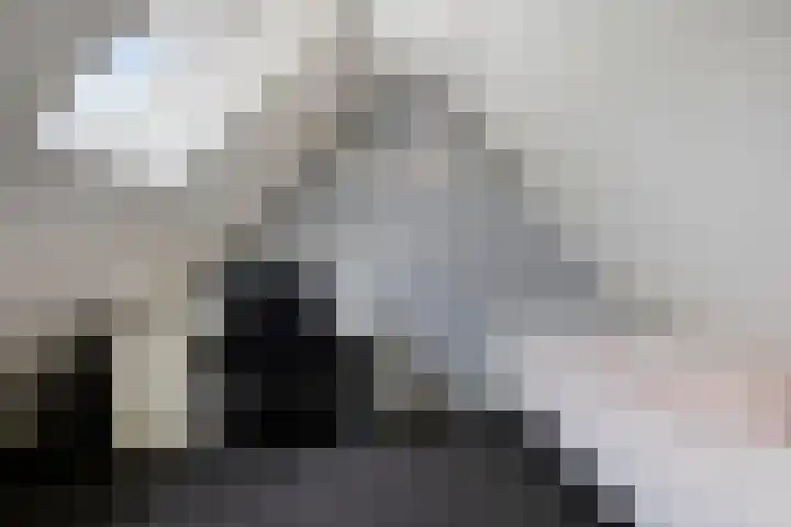 De Finne 13 Sumar thumbnail 31