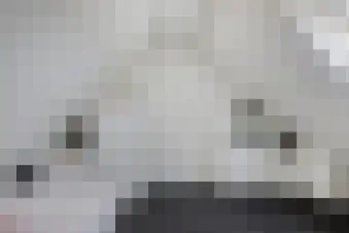 De Finne 13 Sumar thumbnail 32