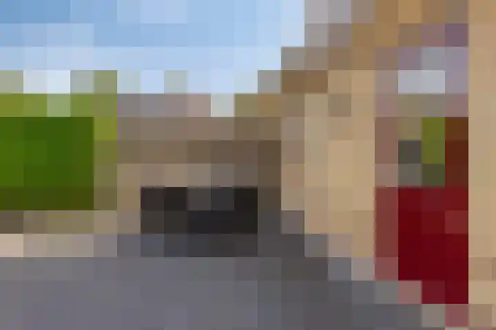 De Finne 13 Sumar thumbnail 34