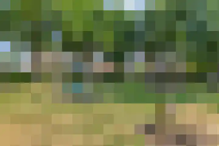 De Finne 13 Sumar thumbnail 36