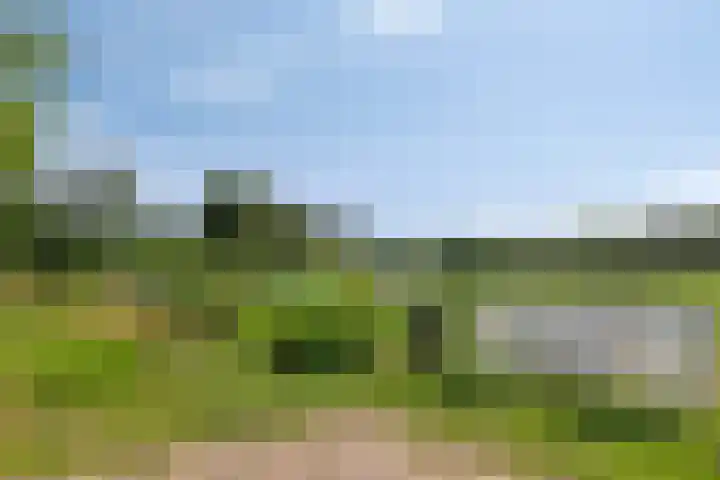 De Finne 13 Sumar thumbnail 37