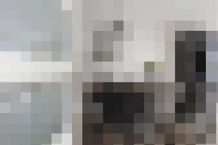 De Finne 13 Sumar thumbnail 4