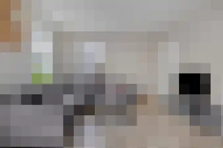 De Finne 13 Sumar thumbnail 7