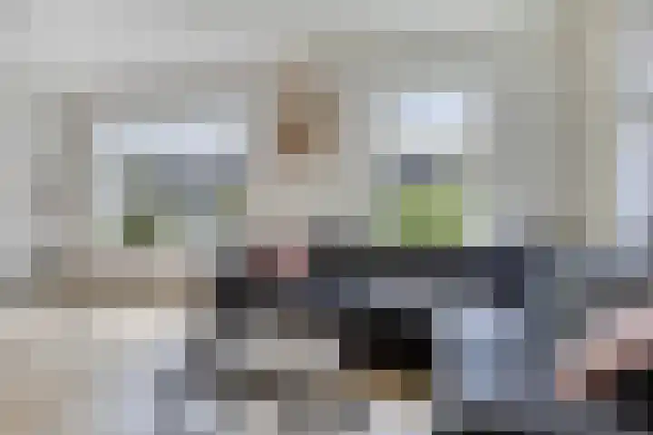 De Finne 13 Sumar thumbnail 8