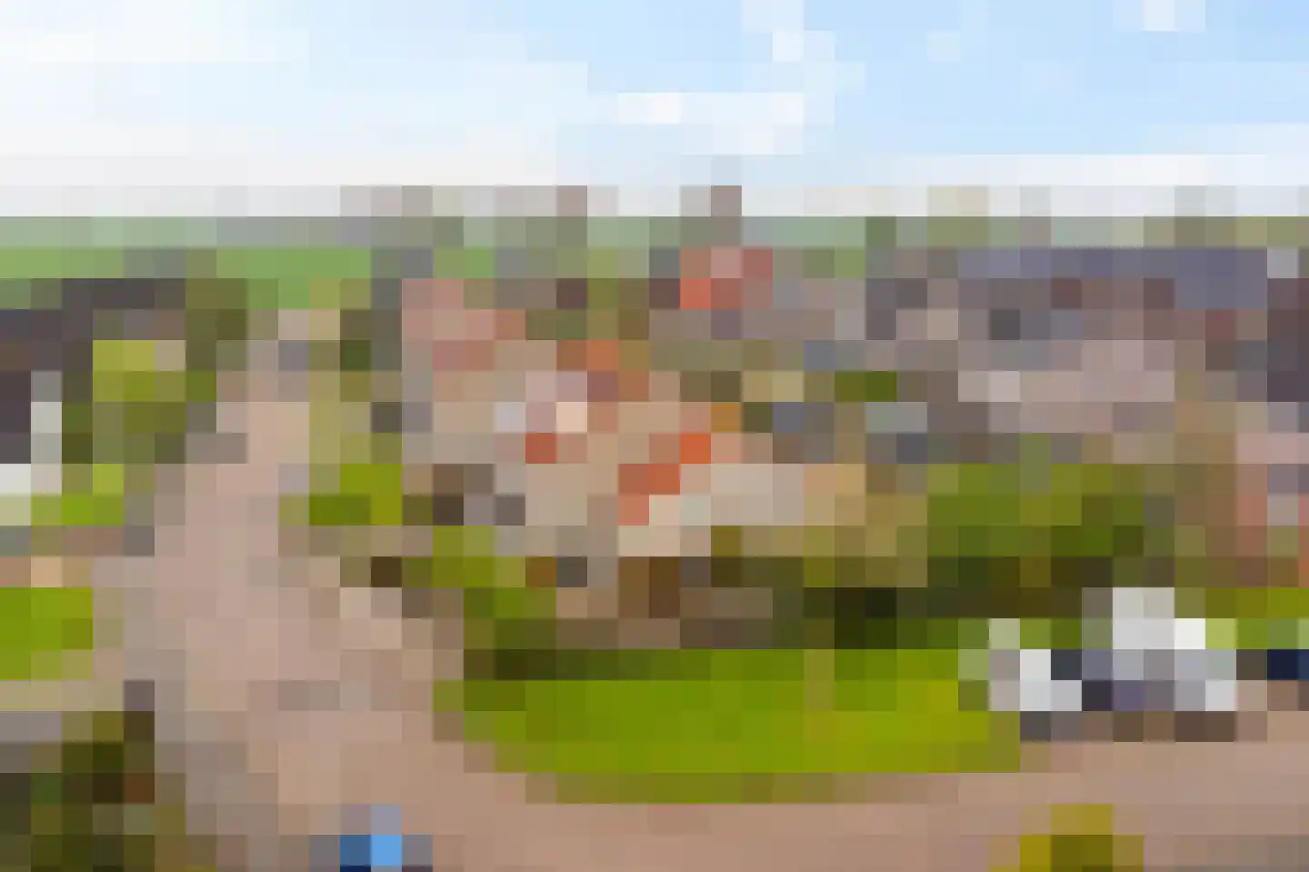 de Finne 2 Wytgaard thumbnail 10