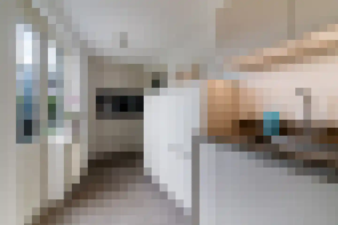 de Finne 2 Wytgaard thumbnail 23