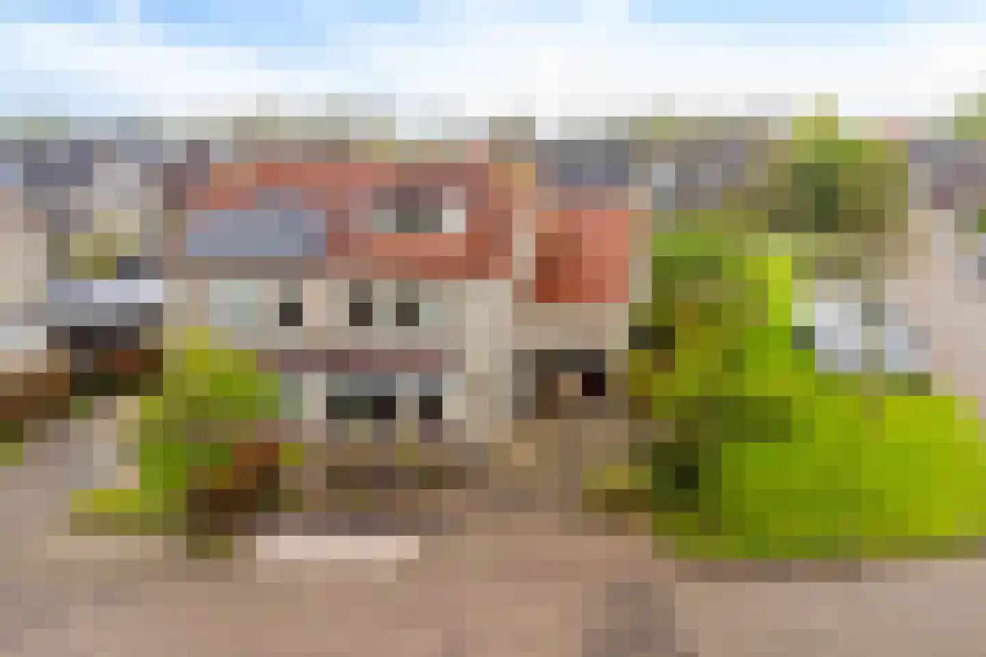 de Finne 2 Wytgaard thumbnail 37
