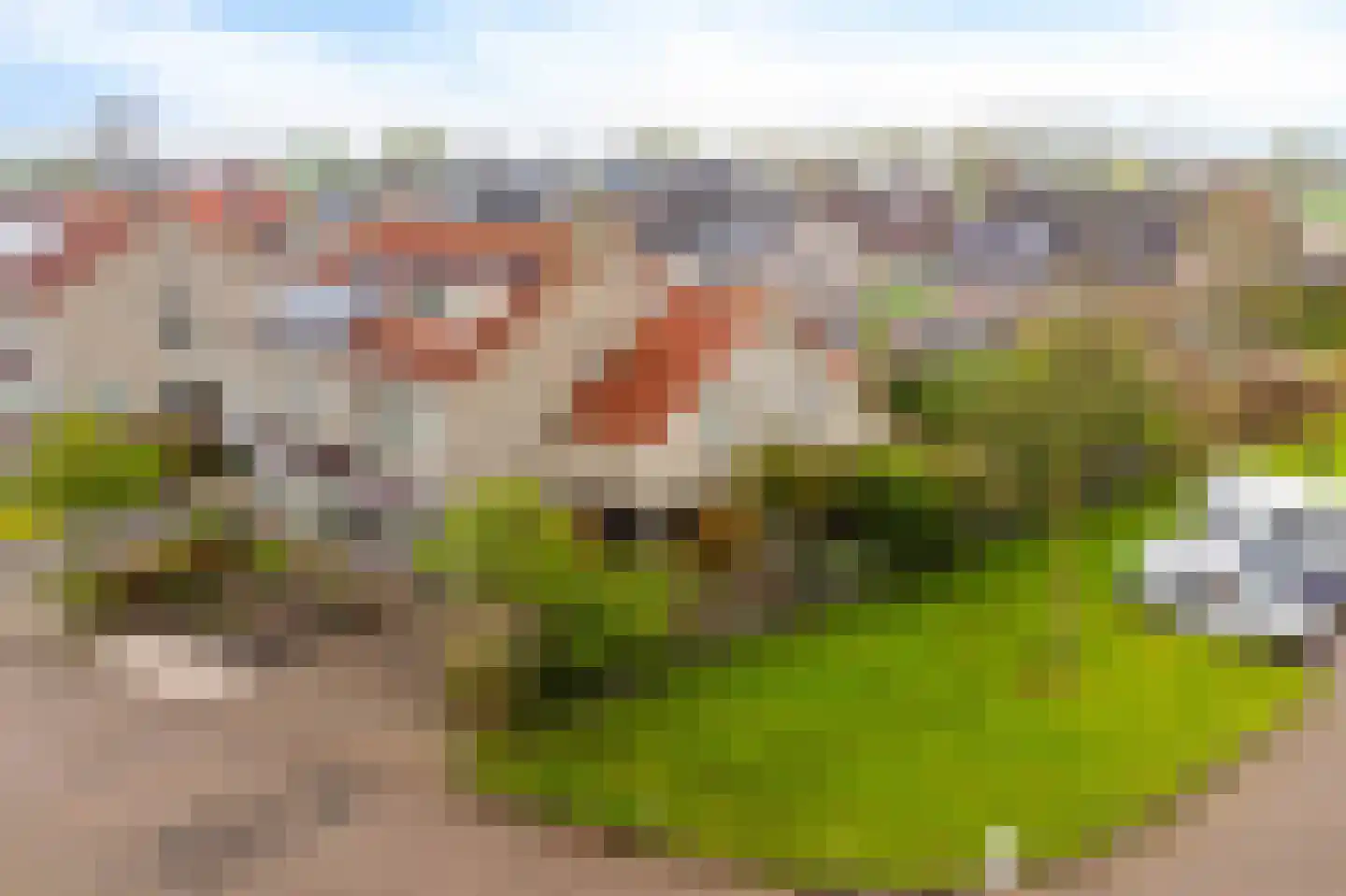 de Finne 2 Wytgaard thumbnail 38