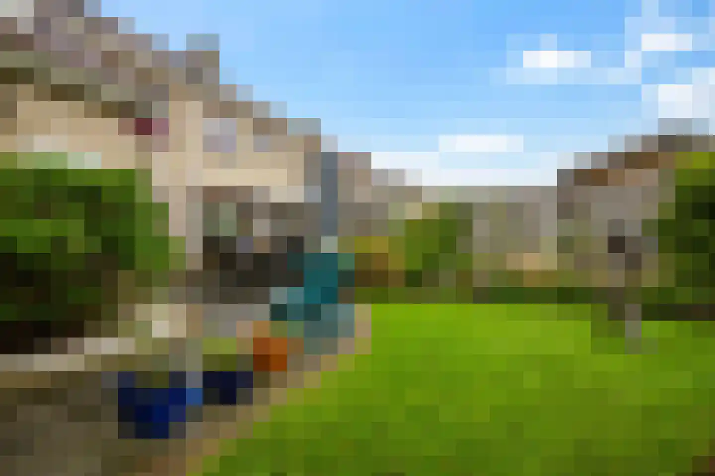 de Finne 2 Wytgaard thumbnail 42