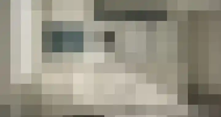 De Finne 27 Menaam thumbnail 11