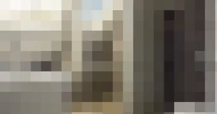 De Finne 27 Menaam thumbnail 20