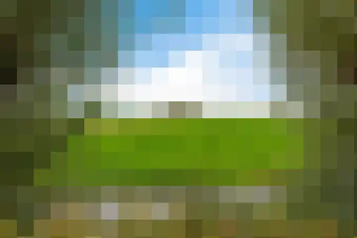 de Finne 3 Wytgaard thumbnail 35