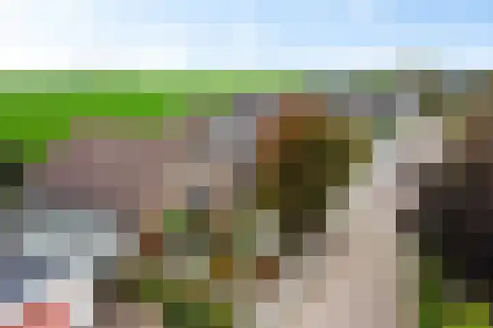 de Finne 3 Wytgaard thumbnail 37